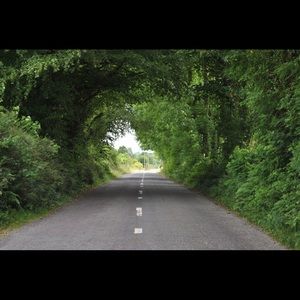 Meet your Posher, Maggie