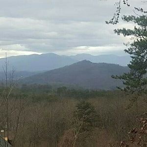 Meet your Posher, Bonnie