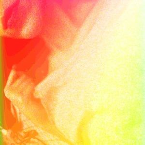 Meet your Posher, Adanja