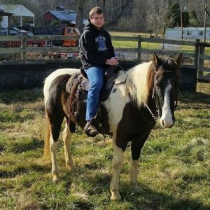 Meet your Posher, Daniel