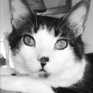 Meet your Posher, Joanne