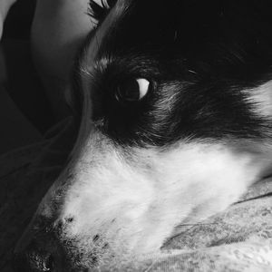 Meet your Posher, Sheila