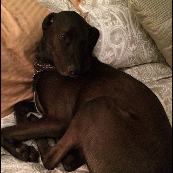 Meet your Posher, Jackie