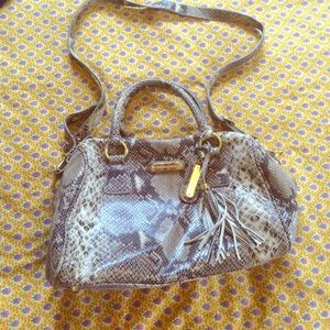 Snakeskin purse
