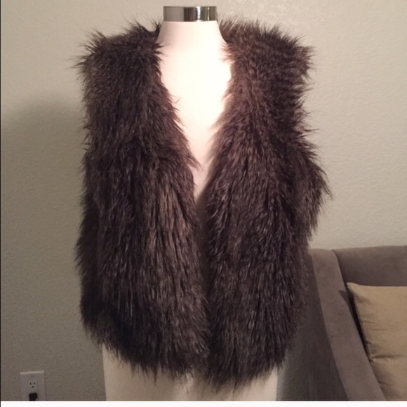 Ann Taylor Fur Vest