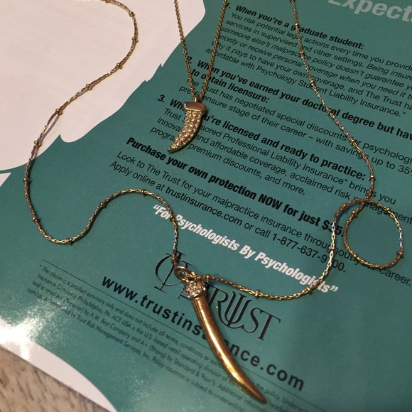 Express double Italian Horn necklace