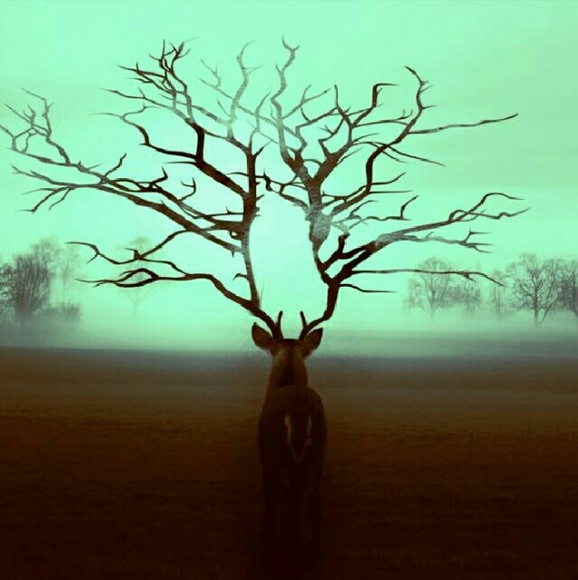 Meet your Posher, Martharose - Picture 1 of 1