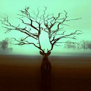 Meet your Posher, Martharose