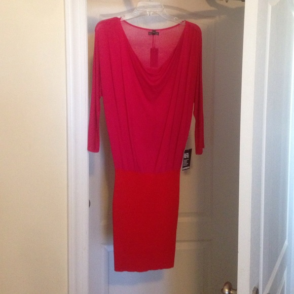 Express sweater dress