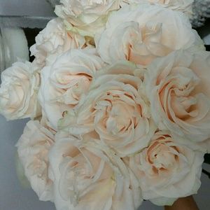 Meet your Posher, Ely