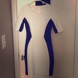 Bisou Bisou Elbow-Sleeve Colorblock Dress