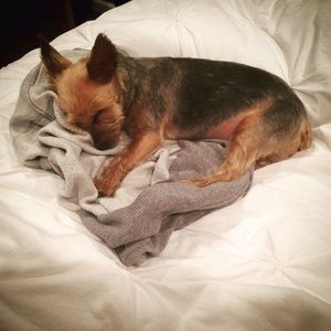 Meet your Posher, April