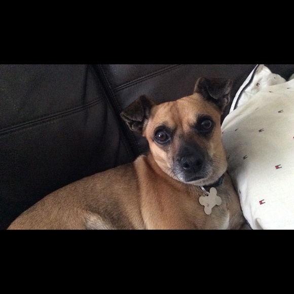 Meet your Posher, Anna