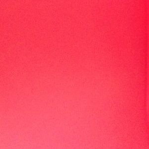 Meet your Posher, Adela