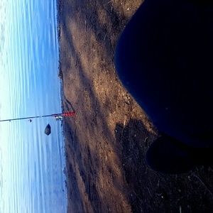 Meet your Posher, Esmeralda