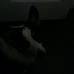 Meet your Posher, Maritza