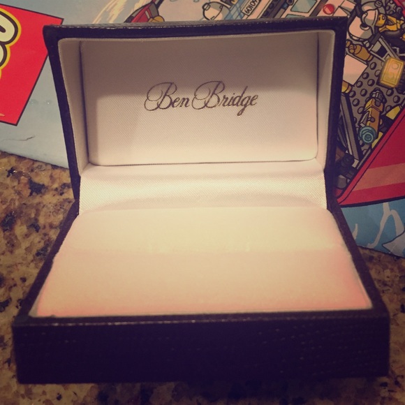 Ben bridge protection box