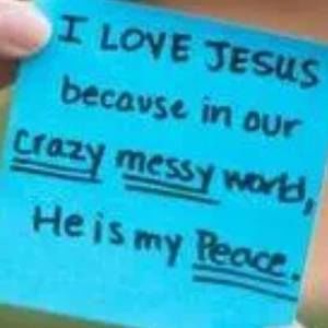 Meet your Posher, Darla