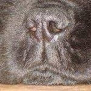 Meet your Posher, Shauna