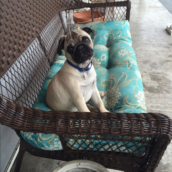 Meet your Posher, Jan - Picture 3 of 4