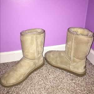 classic tan short uggs