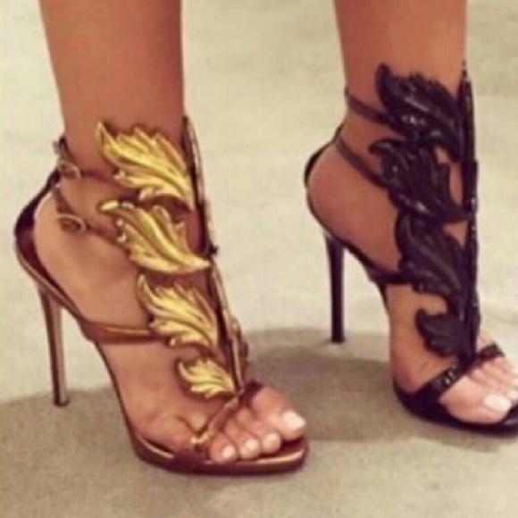 Whatsapp 17185041920