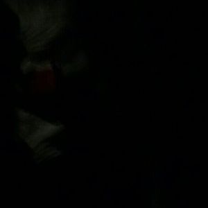 Meet your Posher, Martha