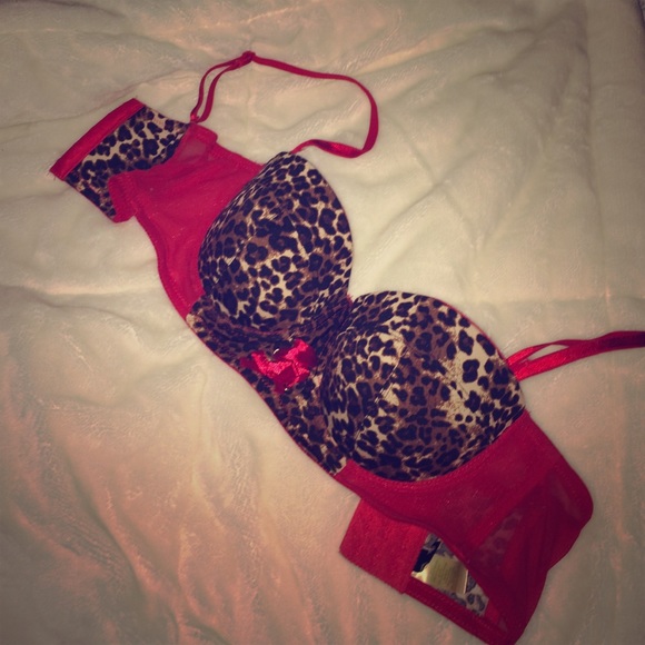 Sexy Cheetah bra