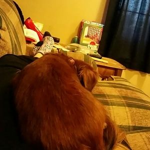 Meet your Posher, Christine