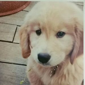 Meet your Posher, Candice