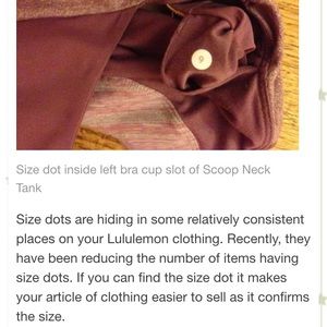 Research Lululemon sizing