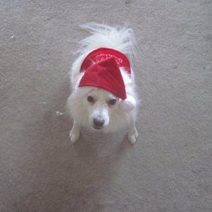 Meet your Posher, Rosalyn