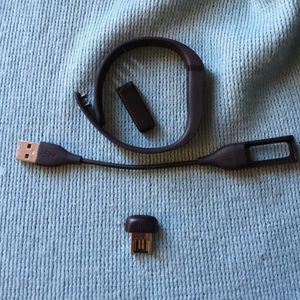 FitBit Flex