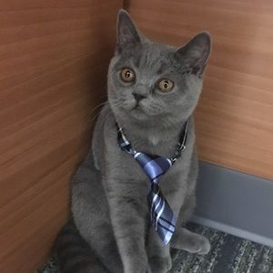 Meet your Posher, Jamie