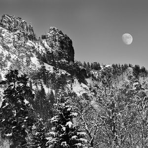 Meet your Posher, Kylie