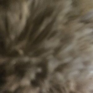 Meet your Posher, Kelsey