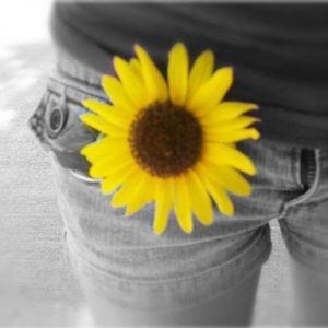 Meet your Posher, Pinky