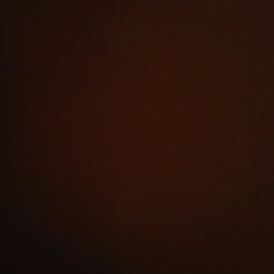 Meet your Posher, Dalia