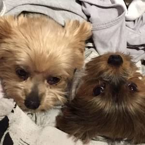 Meet your Posher, Leta