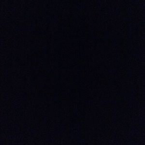 Meet your Posher, Viviana