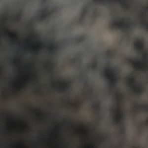 Meet your Posher, Jackie