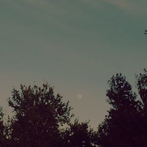 Meet your Posher, Skylar