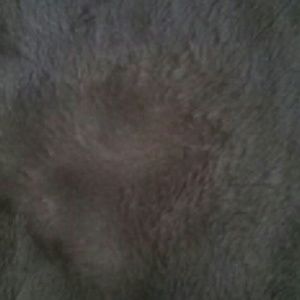 Meet your Posher, Mayra