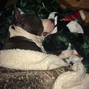 Meet your Posher, Jamie