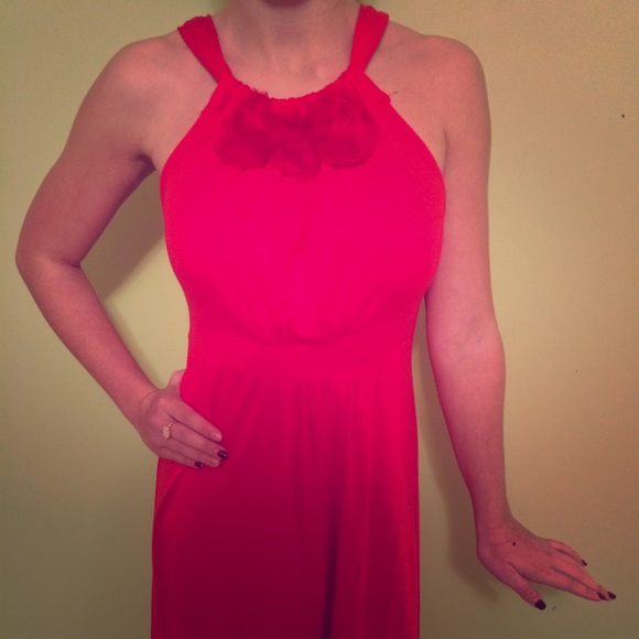 💐 Run for the Roses Sundress 🌹