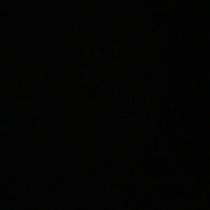 Meet your Posher, Izzy