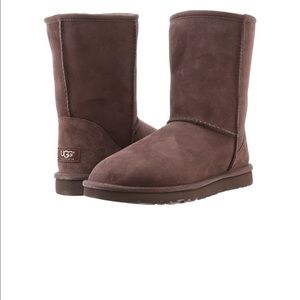 Classic short chocolate Uggs