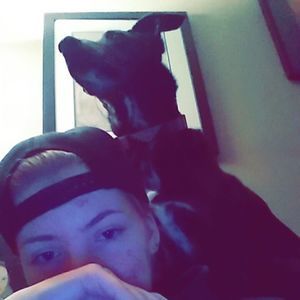 Meet your Posher, Badger