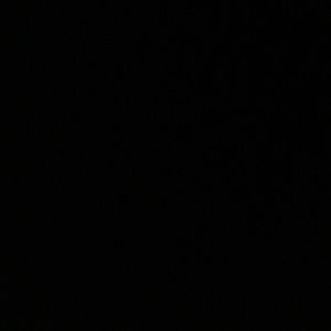 Meet your Posher, Philis