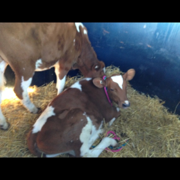 Meet your Posher, Taylor - Picture 1 of 1